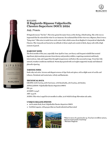 Il Bugiardo Ripasso Valpolicella Classico Superiore DOC 2024 Fact Sheet