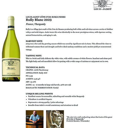 Rully Blanc 2023 Fact Sheet