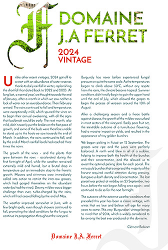 Domaine Ferret 2024 Vintage Presentation