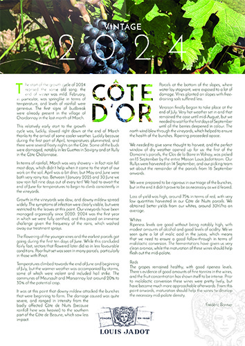 Louis Jadot Côte d’Or Burgundies 2024 Vintage Presentation