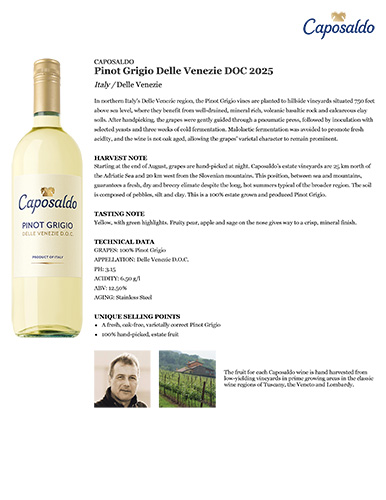 Pinot Grigio Delle Venezie DOC 2025 Fact Sheet