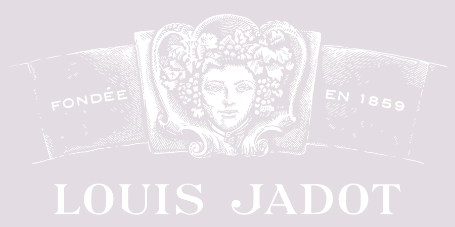 Louis Jadot Logo (bacchus) – White